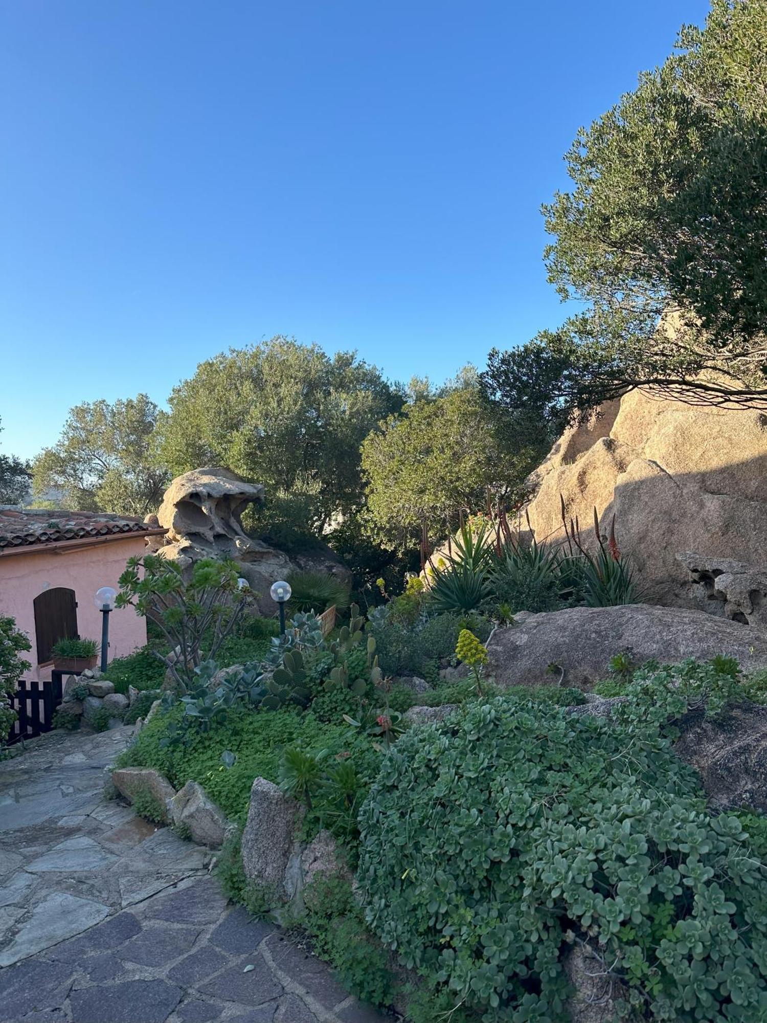 L'Olivastro Appartamenti A Porto Cervo Dış mekan fotoğraf