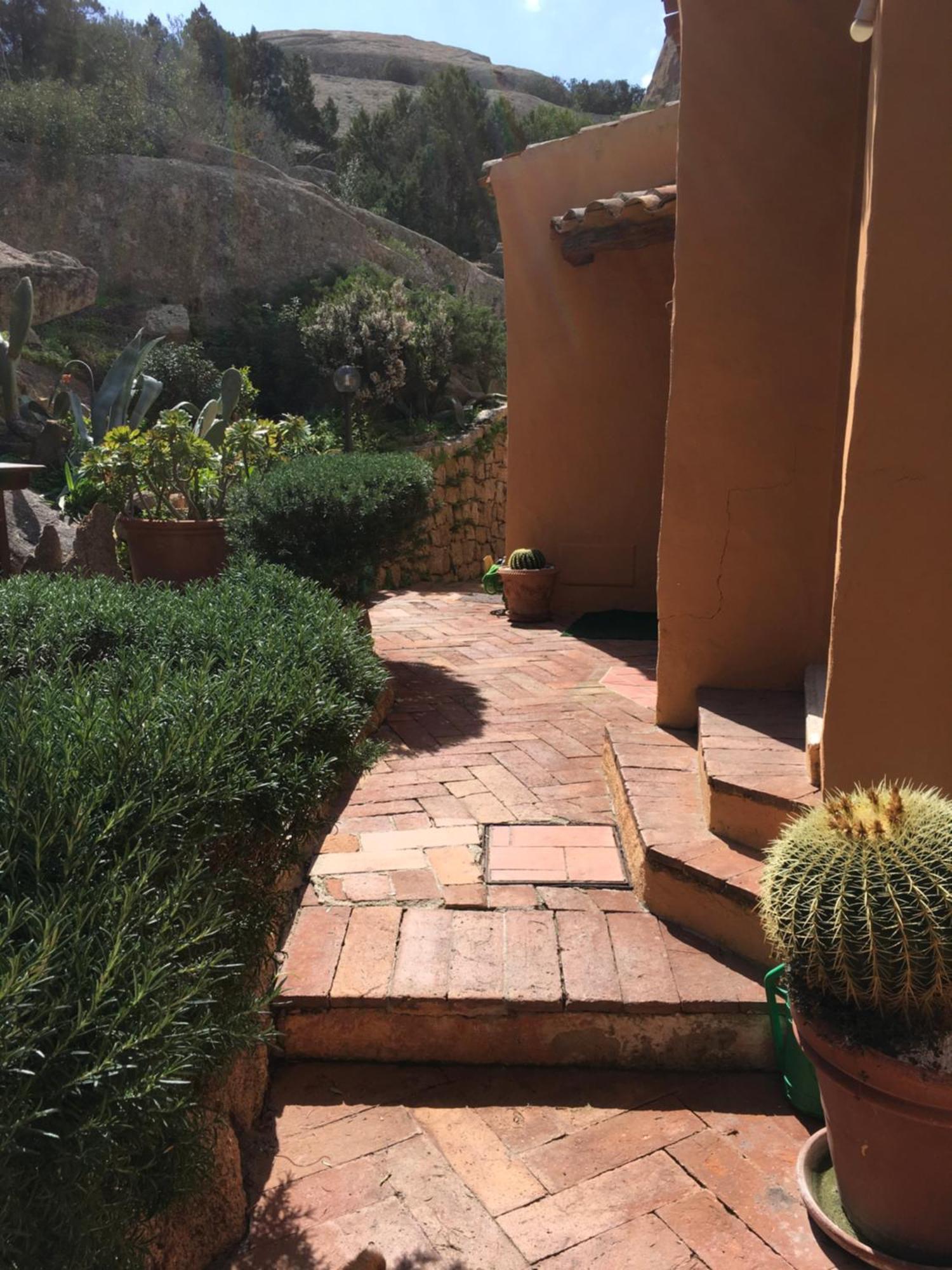 L'Olivastro Appartamenti A Porto Cervo Dış mekan fotoğraf