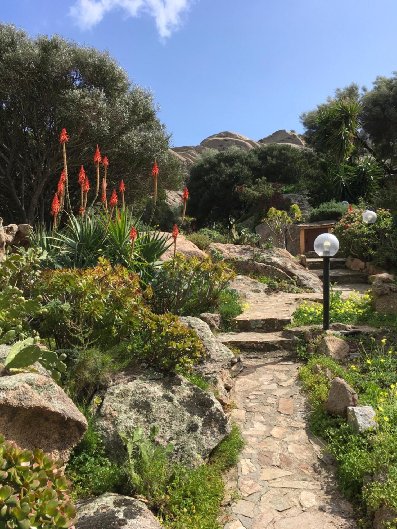 L'Olivastro Appartamenti A Porto Cervo Dış mekan fotoğraf