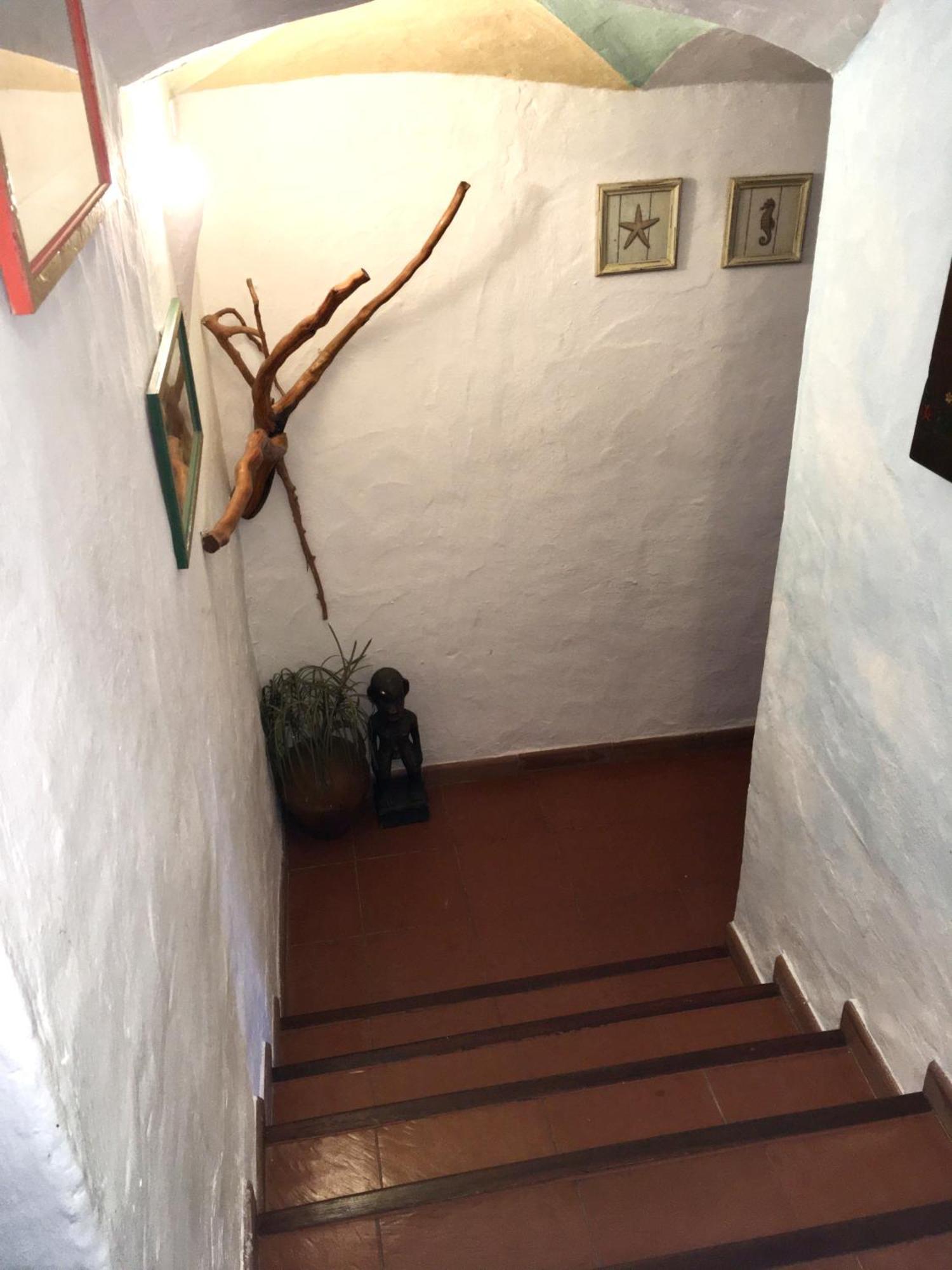 L'Olivastro Appartamenti A Porto Cervo Dış mekan fotoğraf