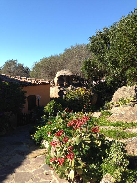L'Olivastro Appartamenti A Porto Cervo Dış mekan fotoğraf